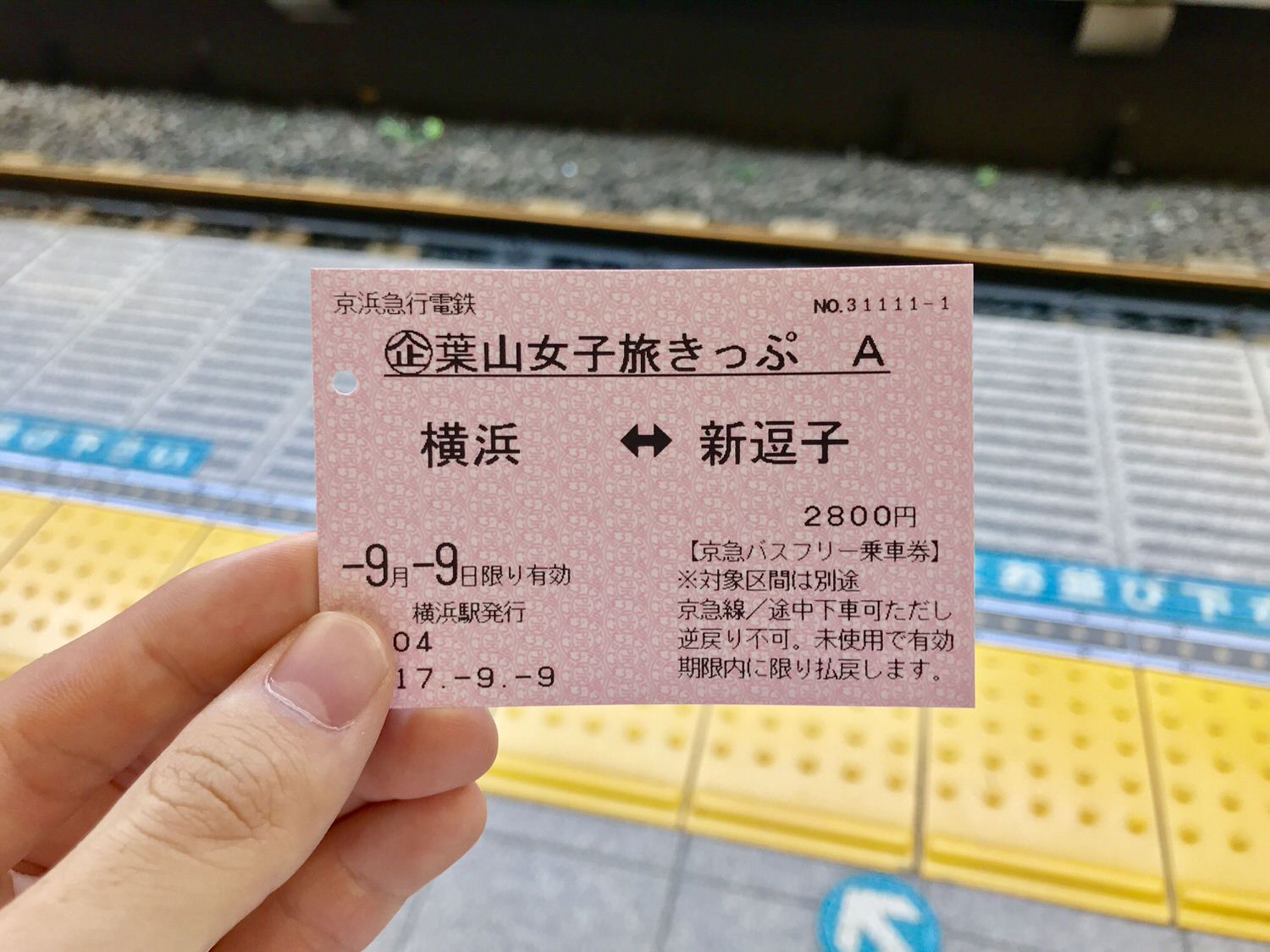 君は 葉山女子旅きっぷ を知ってるか 往復切符とバス乗り放題とお昼と土産込みで3000円は最強