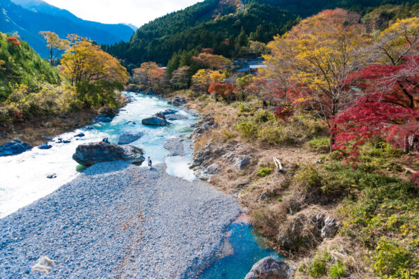 2017年、ご愛読ありがとうございました！