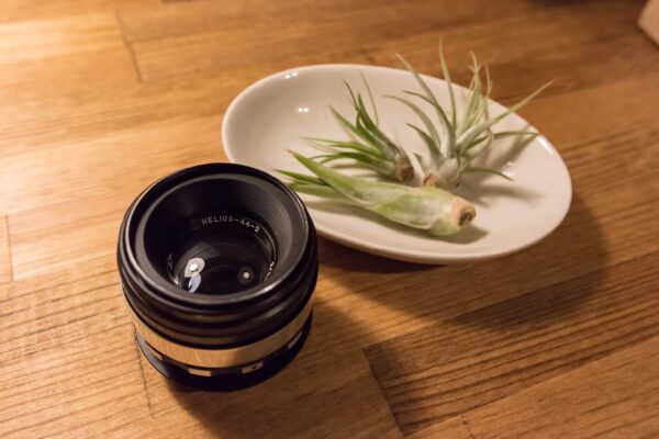 魅惑のぐるぐるボケを求めて。オールドレンズ「HELIOS 44-2 2/58」を購入
