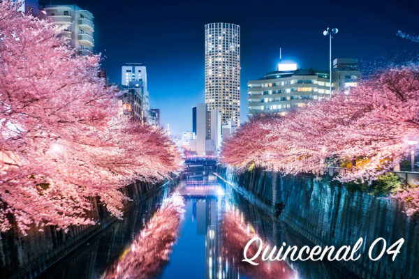 Quincenal第4号「飛べ、飛べ、飛べ」