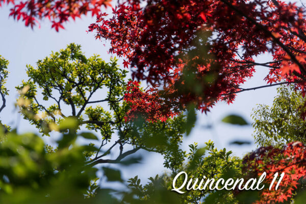 Quincenal第11号「自由に生きるを体験する。」
