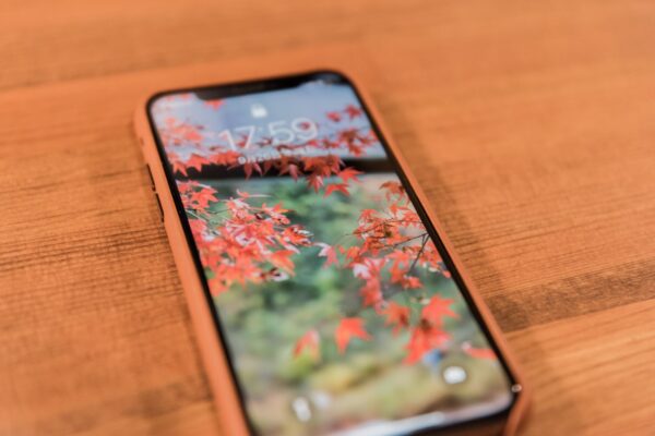結局これに落ち着く。iPhone XS用に純正レザーケースを購入