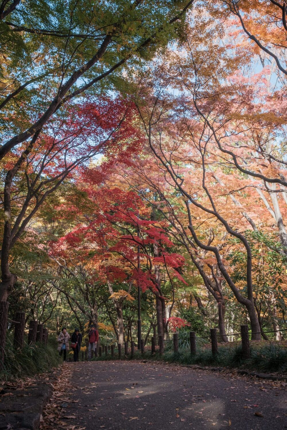 F5.6, 1/125s, ISO640, 24.7mm, XF16-80mmF4 R OIS WR