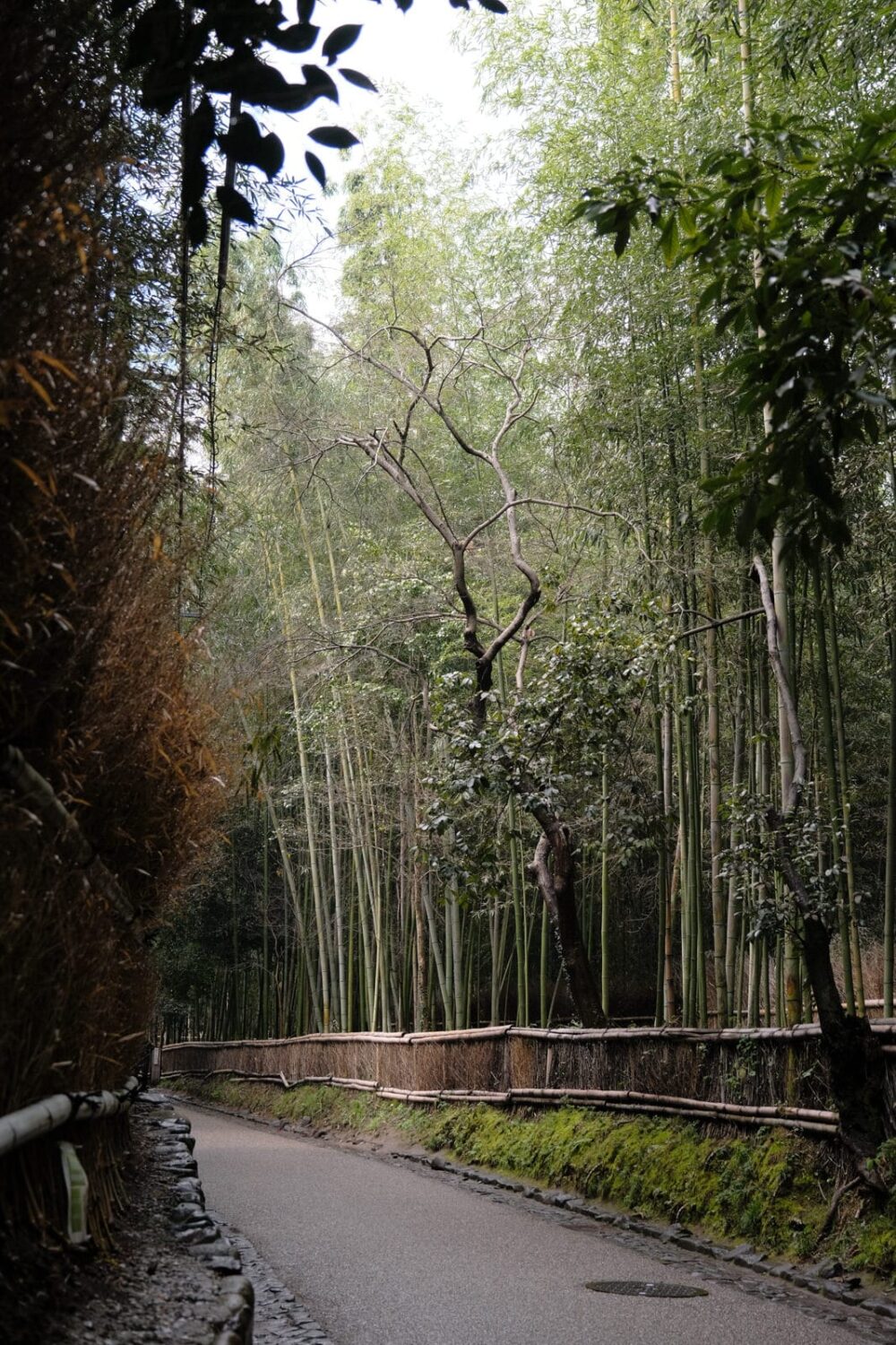 F4, 1/140s, ISO320, 32.5mm, XF16-80mmF4 R OIS WR