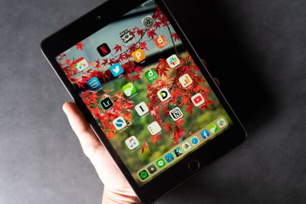 iPad mini（第5世代）を買いました。11インチPro持ちなのに買った理由まとめ