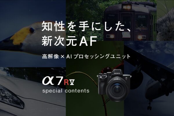 【50万】α7R Vを買っちゃったので、手放した機材とこれからの機材構成を考える