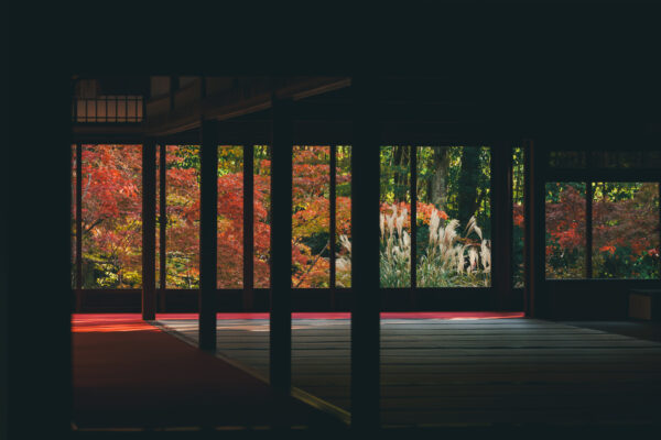 α7R Vで撮る、秋の京都 | 写真と日常